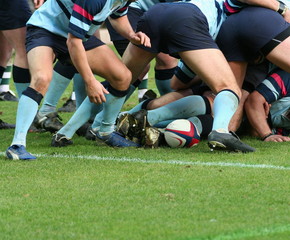 rugby