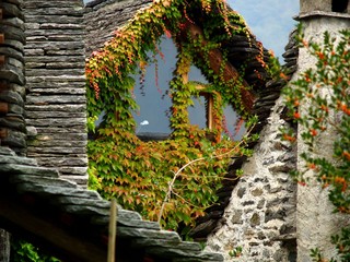 natura e decorazione