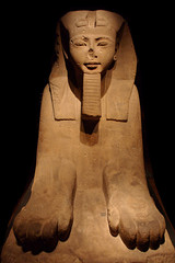 egyptian sphinx