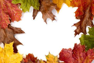 autumn leaves frame