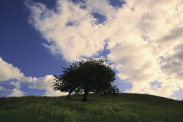 Obraz premium hill sky