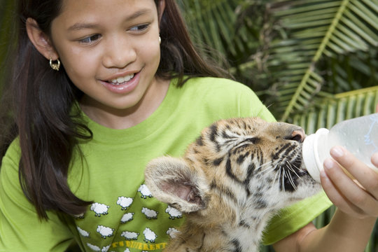 kind mit tigerbaby