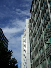 Fototapeta premium london glass buildings 51