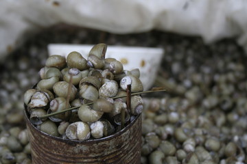 portion d'escargots cuisinés