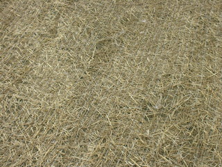 grass mat