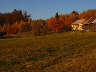countryside