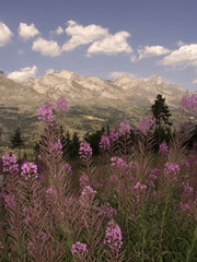 devoluy valley alps france mountains scenery lands