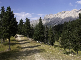 Obraz premium devoluy valley alps france mountains scenery lands