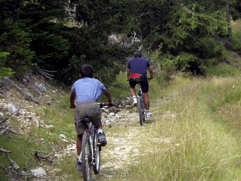 father and son cycling on mountain bikes on trail