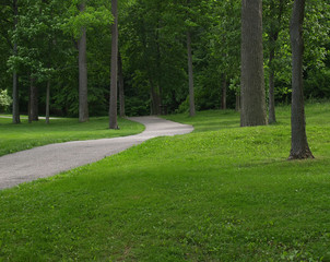 pathway to the woods