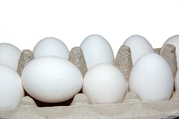 white eggs