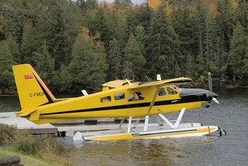 float plane in algonquin park (1402)