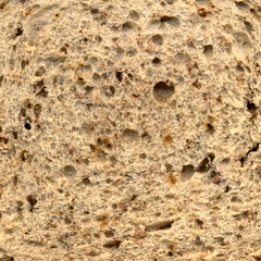 close up of a of a malted wheat and barley slice o