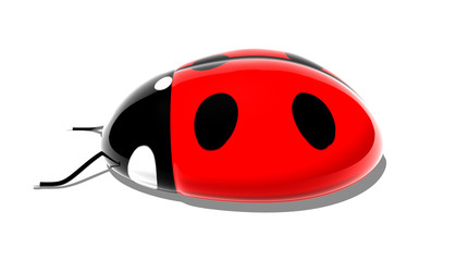 ladybird