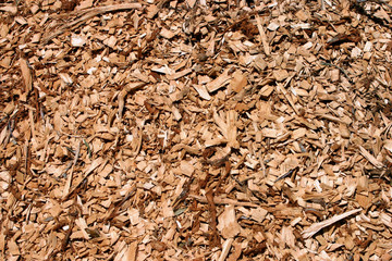 wood chips