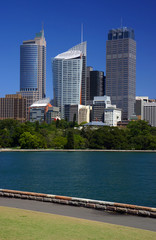 Naklejka premium sydney skyline