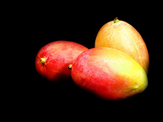 mangos