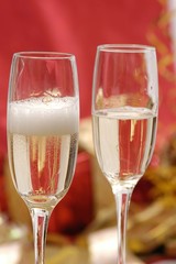 champagne