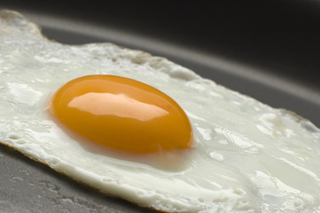 egg