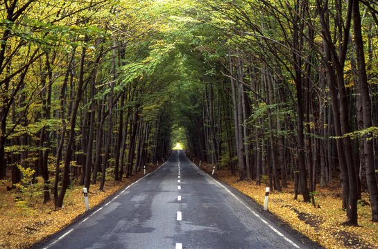 waldstrasse