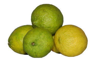 stacked limes