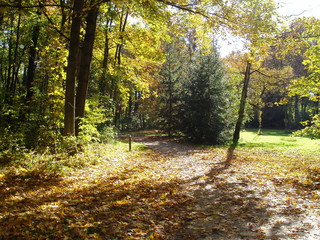 der  andere weg,