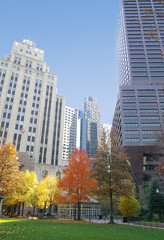 Obraz premium autumn day