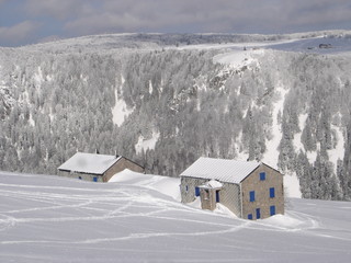 paysage hivernal - massif du honeck