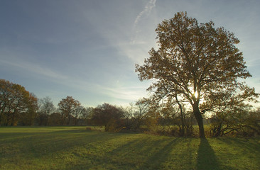 impressionen eines herbstmorgens