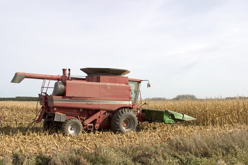 Obraz premium corn combine