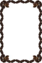 pinecone frame