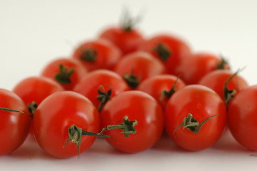 tomatoes