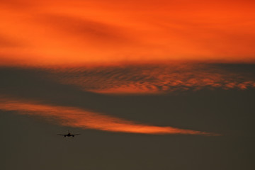 plane into sunset