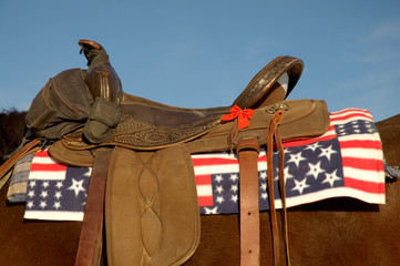 patriotic saddle
