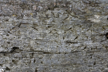 wooden wall
