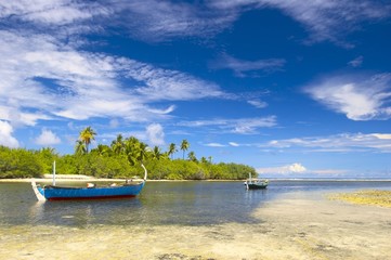 Obraz na płótnie Canvas piękne tropikalne laguny