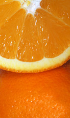 close up of oranges