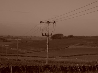 telegraph pole in field