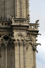 notre dame tower detail.