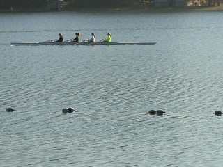 rowers 2 © Jim Cox