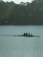 rowers