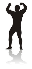 bodybuilder