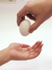 hands   egg