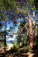 lake ladoga. a beach.