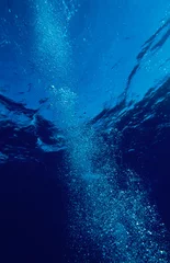bubbles © Seawaters