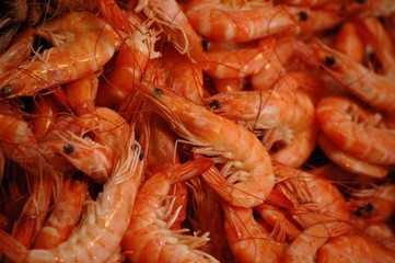 les crevettes