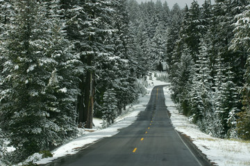 snow road 2