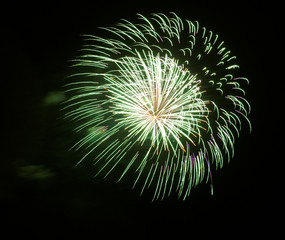 Fototapeta premium feuerwerk grün