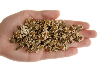 handful of camomile