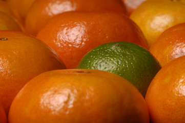 lime and tangerines